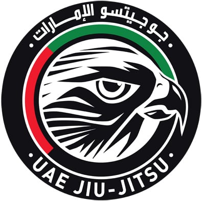 emirates super cup 2011 