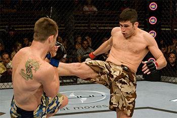 amir sadollah ufc mma