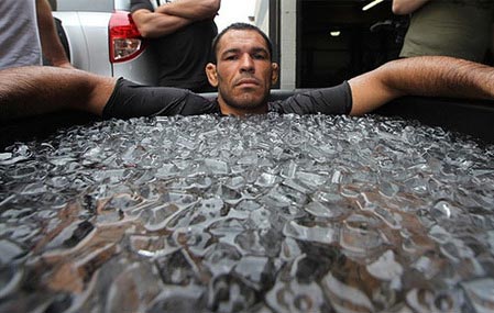 Antonio Rodrigo Nogueira mma bg