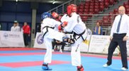В края на ноември в София ще се проведе международен турнир по таекуондо