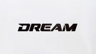 Резултати от MMA състезанието DREAM 11