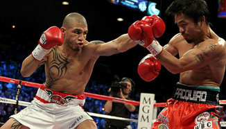 Cotto: Arum е измамник! Не ми е давал нищо, всичко постигнах сам