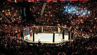 Резултати от UFC Fight Night 70