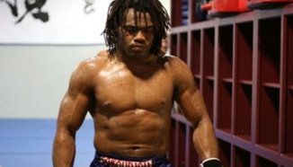 Sokoudjou срещу Houston Alexander през септември
