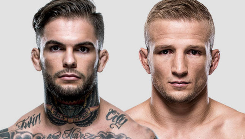 Официално: TJ Dillashaw срещу Cody Garbrandt на 4-ти август