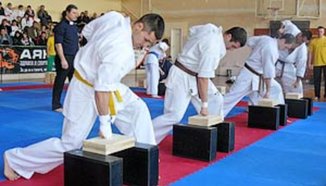 Европейското първенство по киокушин-кан във Варна