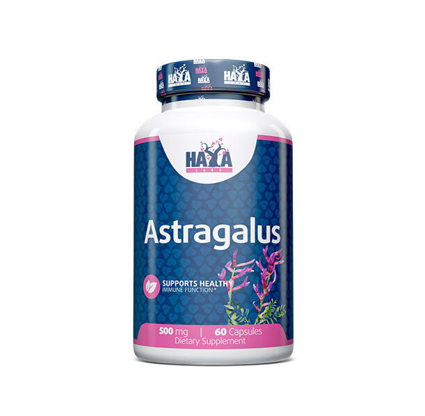 HAYA LABS Astragalus 500 mg / 60 Caps