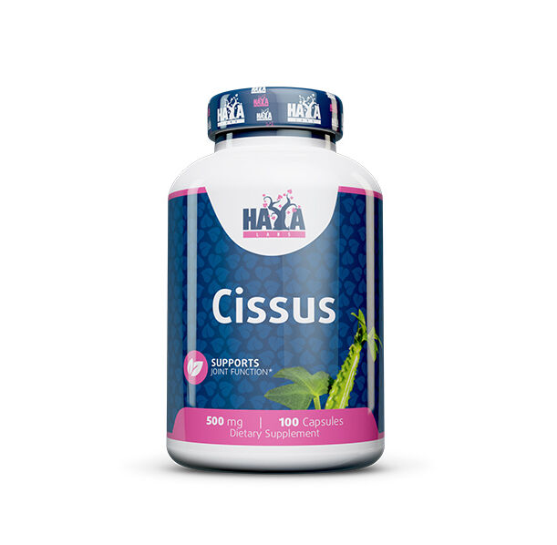 HAYA LABS Cissus 500 mg / 100 Caps