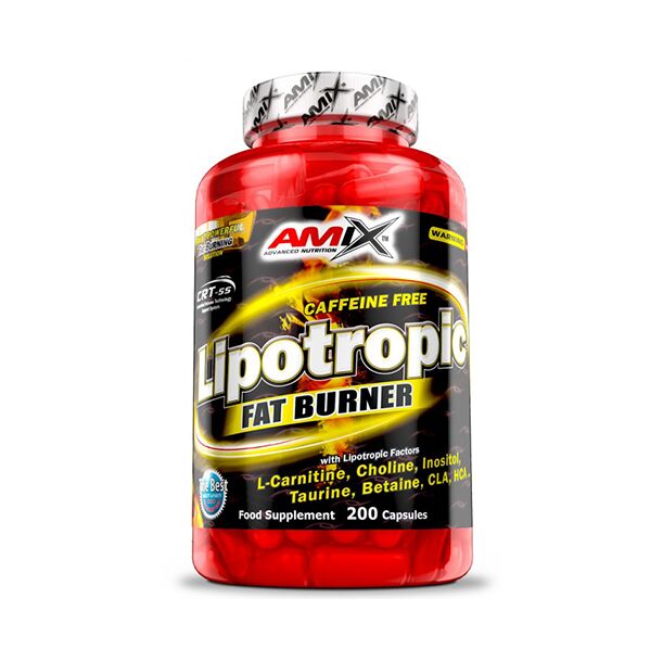 AMIX - Lipotropic Fat Burner / 200 Caps (40 дози)